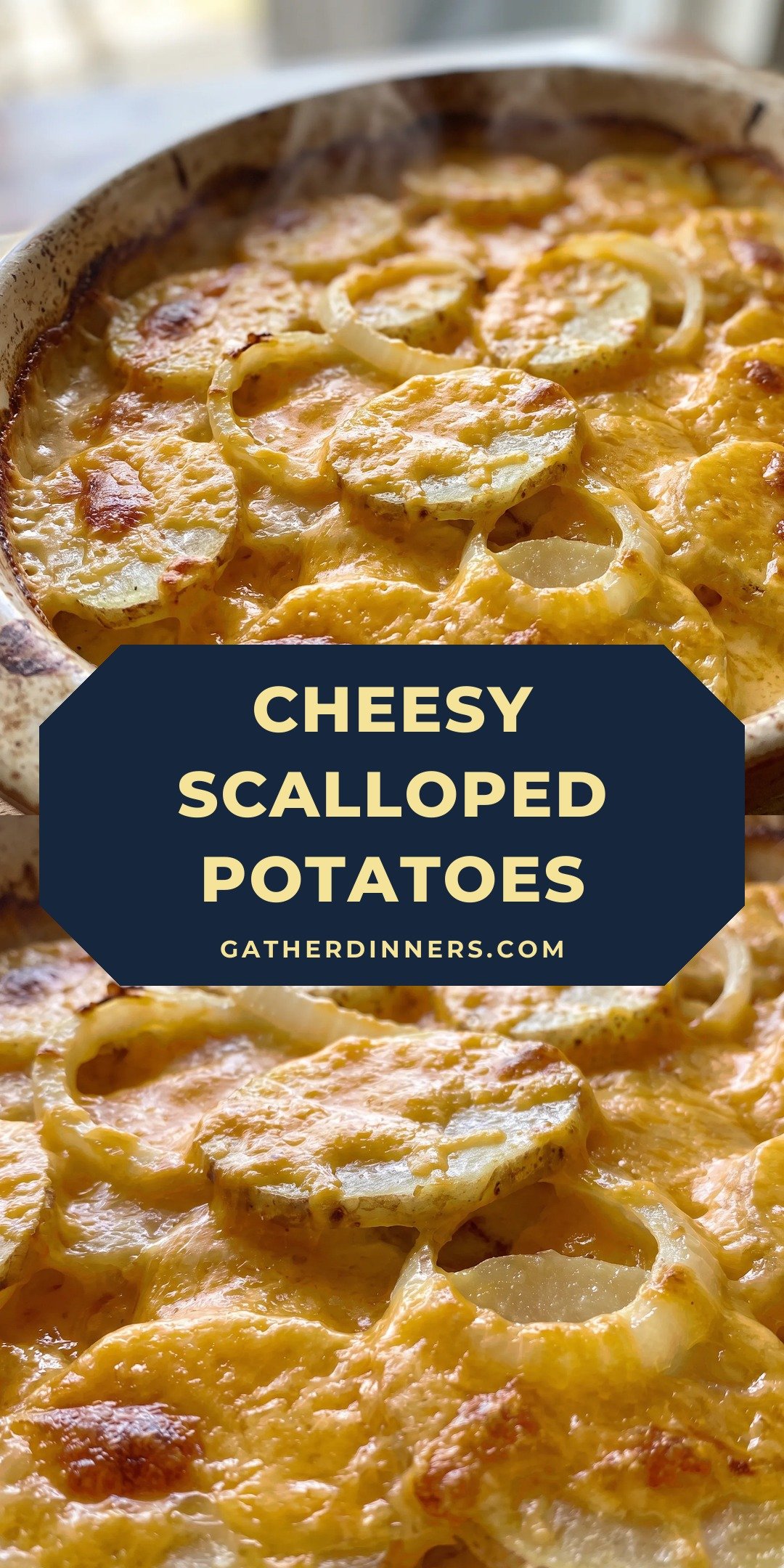 Golden sliced potatoes layered with onion rings, coated in creamy white sauce and melted orange cheddar, baked with a bubbly browned top.